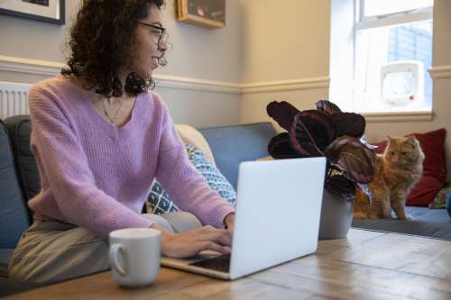 Person Looks At A Cat While Sitting In Front Of A Laptop Photo