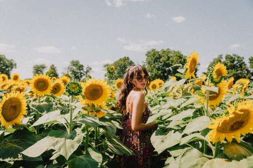 Woman In A Floral Dress Standing In Amongst Sunflowers Photo