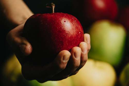 Hand Holding A Red Apple With Water Droplets Photo