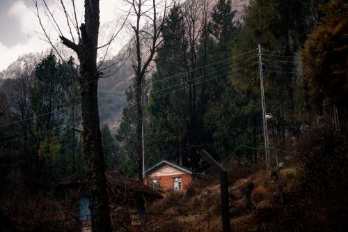 An Orange House Surrounded By Trees Photo