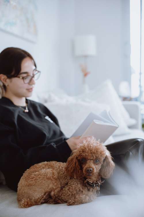 Small Puppy Curls Up Next To Person Reading Photo