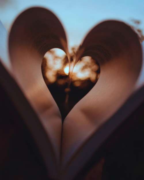 Pages Of A Book Curled Inwards To Create A Heart Photo