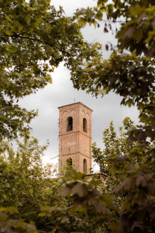 A Tall Tower Framed With Green Branches Of Trees Photo