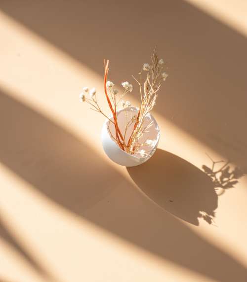 White Egg Shell With Dried Flowers On Beige Photo