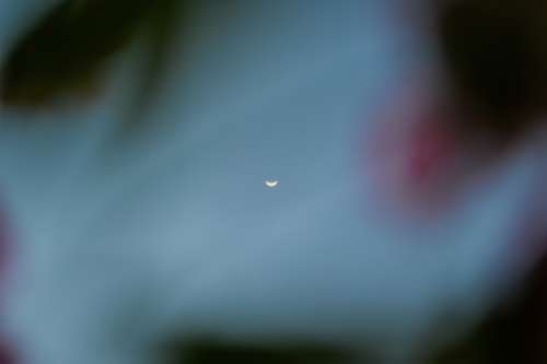 Sliver Of The Moon In A Blue Sky Photo