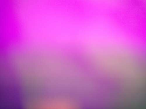 Pink Abstract Background Free Photo