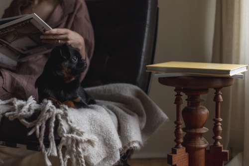 Person Reading Next To A Puppy On A Wool Blanket Photo