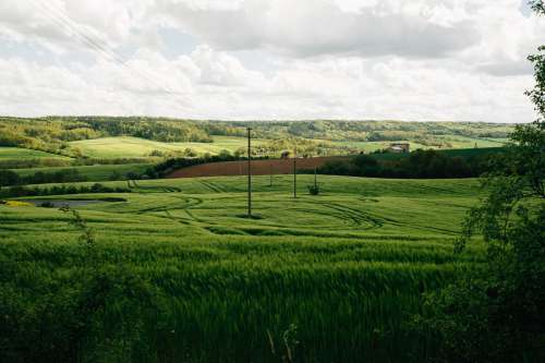 Landscape Of Thick Green Grassy Hills With Pylons Photo