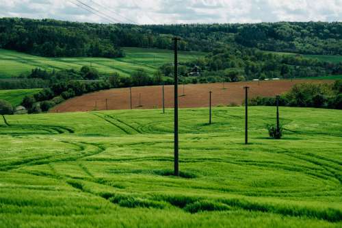 Vibrant Green Hills With Poles Connected By Wire Photo