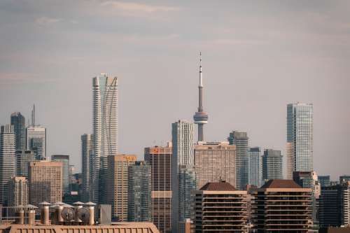 Tall Buildings Fill The Frame In A Toronto Cityscape Photo