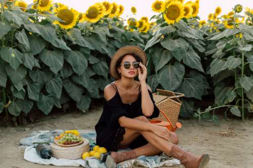 Person Wearing Sunglasses Enjoys A Picnic By A Sunflower Field Photo