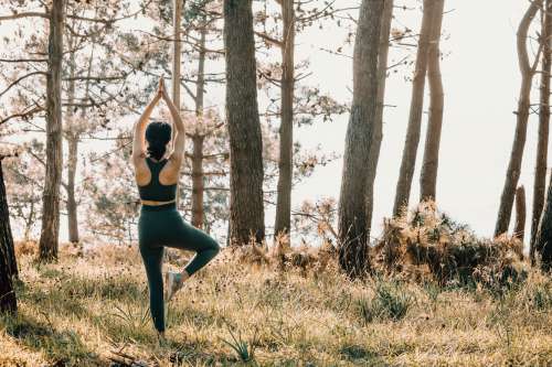 Person With Arms Reaching High Does Yoga In A Forest Photo
