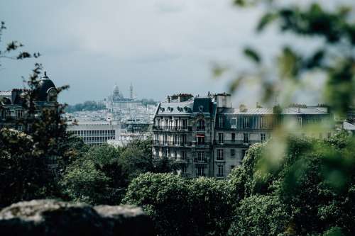 City Skyline View With Green Trees In Foreground Photo