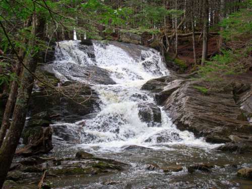 Waterfall Forest Stream Free Photo