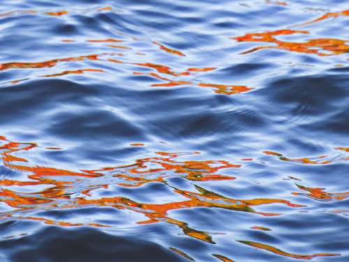 Water Ripple Background Free Photo