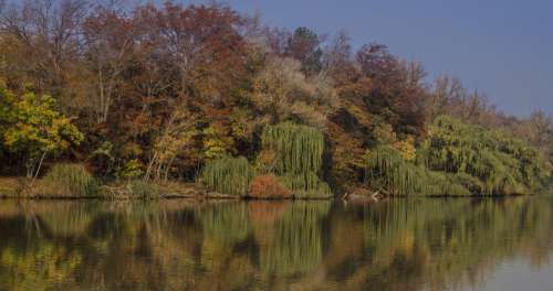 Autumn Trees Line A Still Lake Photo
