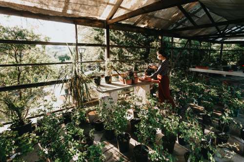 Person Wearing A Facemask Surrounded By Potted Plants Photo