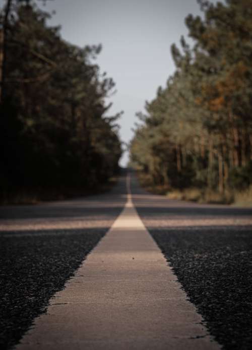 Look Down The White Line Of A Paved Road Photo