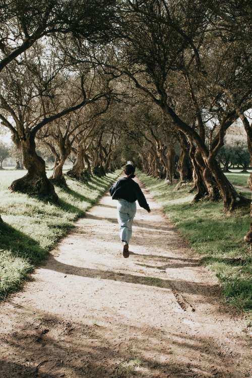 Woman Runs Down A Tree Lined Pathway Photo