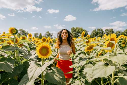 Person Surrounded By Sunflowers Walks Up To Camera Photo