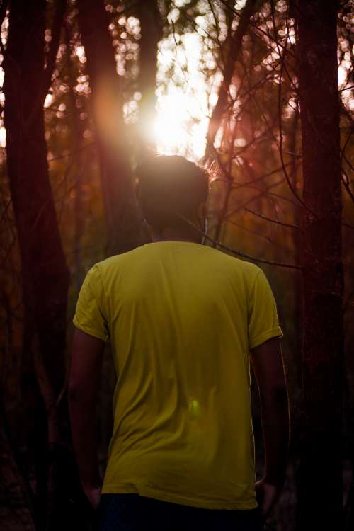 Person In A Yellow Shirt Walks Into A Dark Forest Photo