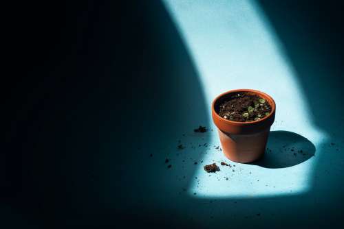 Small Pot Filled With Dirt And A Few Sprouts On Blue Photo