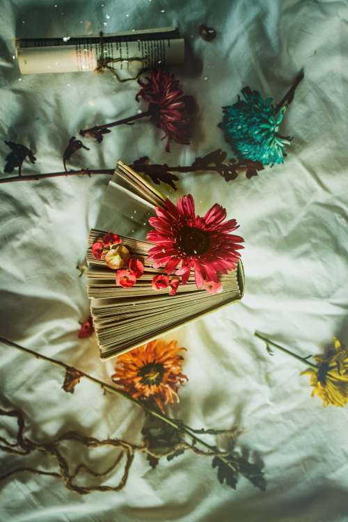 Flatlay Of Hardcover Books And Colorful Flowers Photo