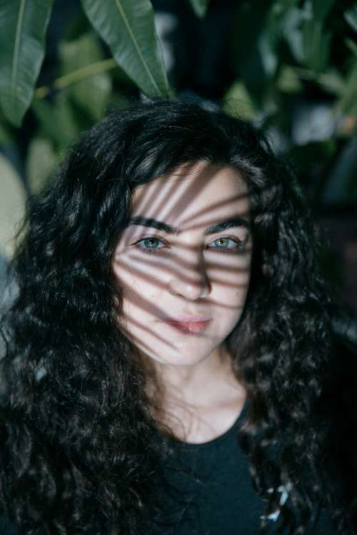 Face Of A Person With A Plant Casting A Shadow On Them Photo