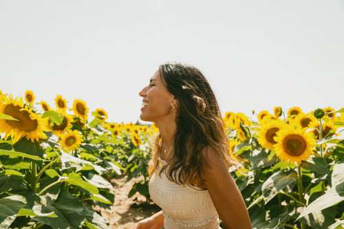 Profile Of A Person Smiling In A Sunflower Field Photo
