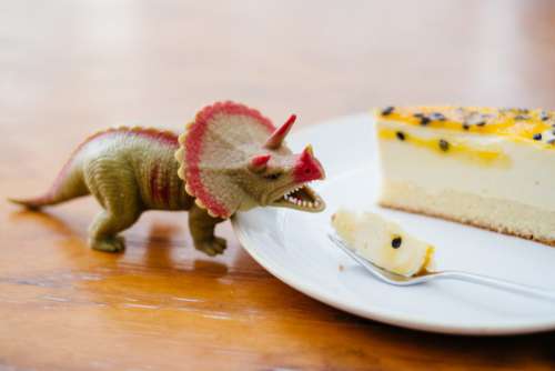 Rubber toy dinosaur about to eat a cake 2