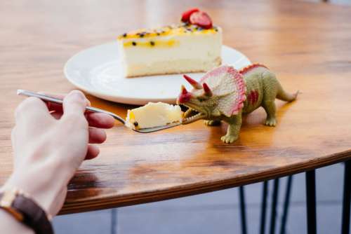 Pretending to feed cake to a rubber toy dinosaur