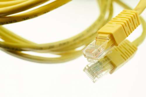Network Cable Close Free Photo