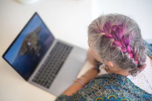 Woman Working Laptop Free Photo
