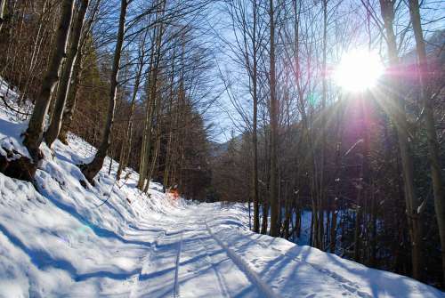 Snowy Mountain Path on a Sunny Day
