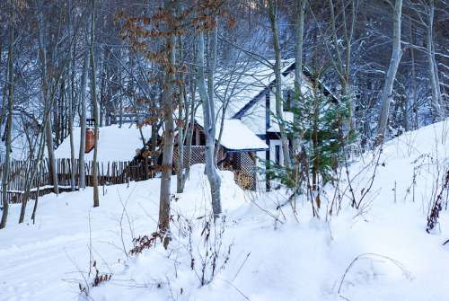 Cabin in the Woods at Winter