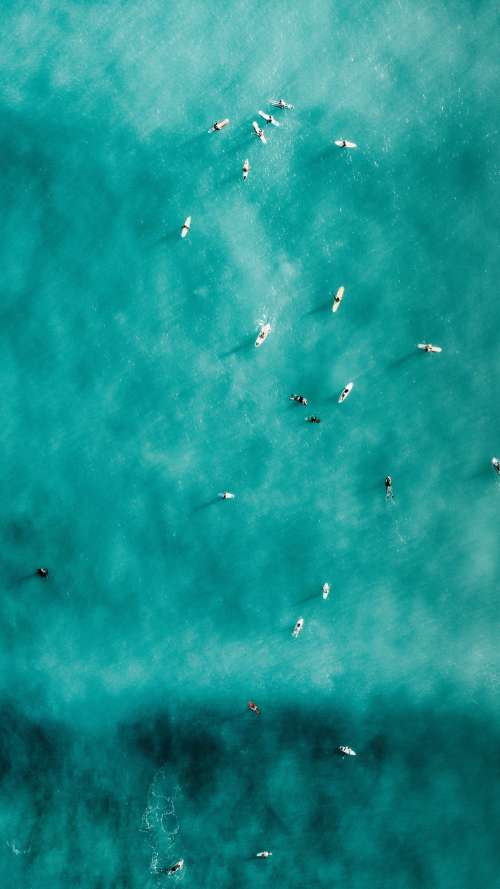 Aerial Photo Of People In Aqua Blue Water Photo