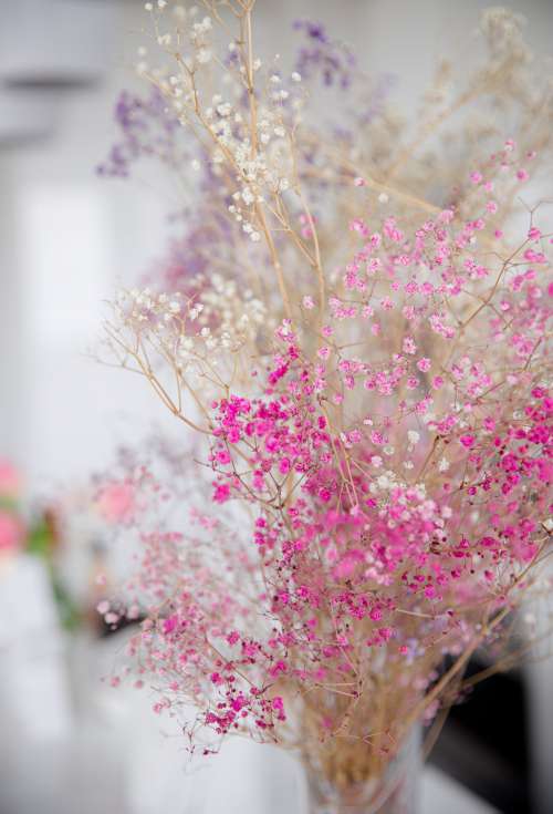Pink And White Small Flowers Rest In A Glass Vase Photo