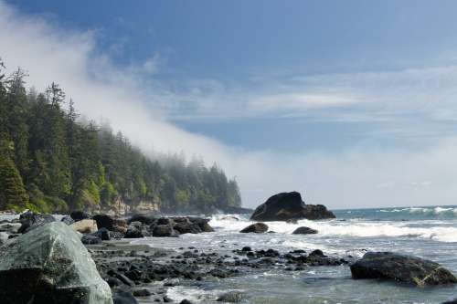 Landscape Of Trees Rocks And Water Shoreline Photo