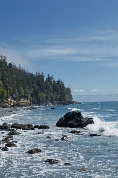 Landscape Of A Tree Lined Ocean Coast Photo