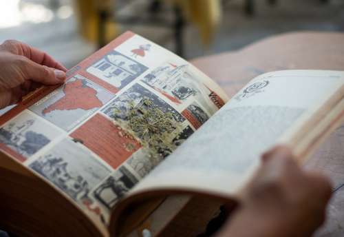 Hands Open A Large Book With A Dried Flower In The Middle Photo