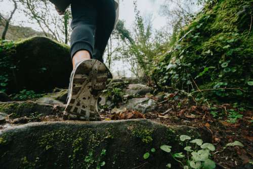 Low Angle Of A Person Walking Up Stone Steps Through A Forest Photo