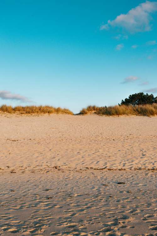 Sandy Beach And Sand Dunes Under Deep Blue Sky Photo