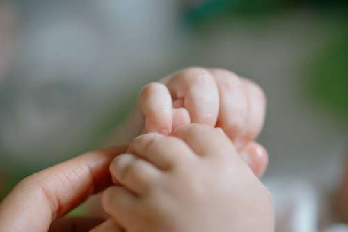 Close Up Of Soft Pink Hands Of Young Baby Photo
