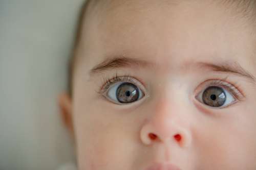 Close Up Of A Babies Wide Brown Eyes Photo