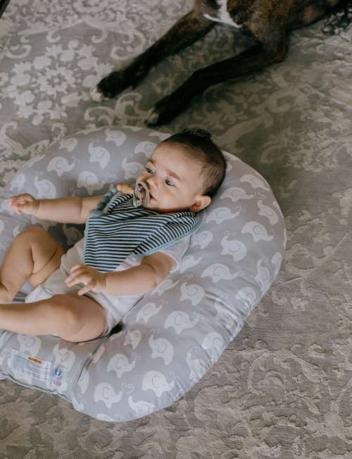 Baby Lays On A Grey Cushion With Elephants On It Photo