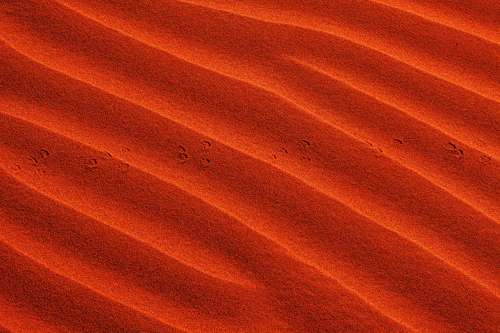 Waves In Vibrant Orange Sand With Small Footprints Photo