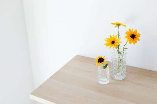 Neutral backgrounds - flowers in vases
