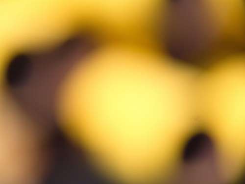 Abstract Bokeh Background Free Photo