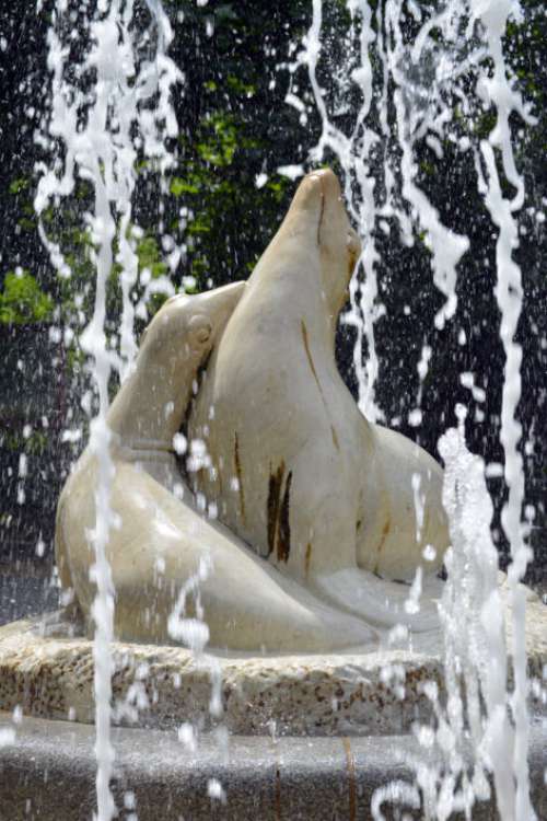 Water Fountain Garden Free Photo