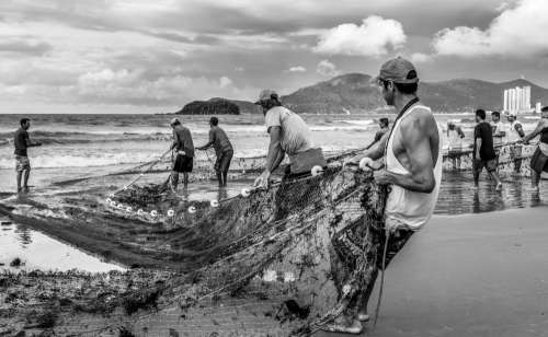 People Pulling A Fishing Net To Shore In Black And White Photo